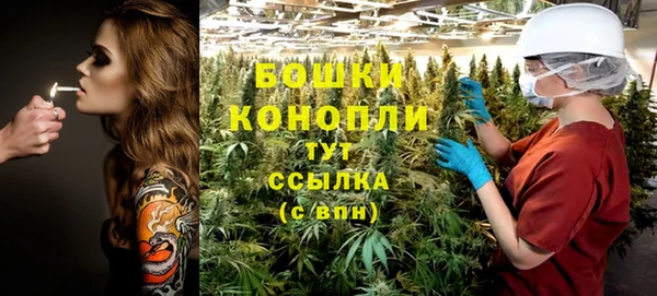 дживик Нягань