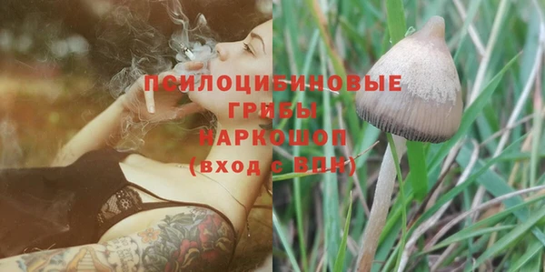 дживик Нязепетровск