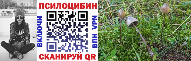Псилоцибиновые грибы MAGIC MUSHROOMS  Тавда 