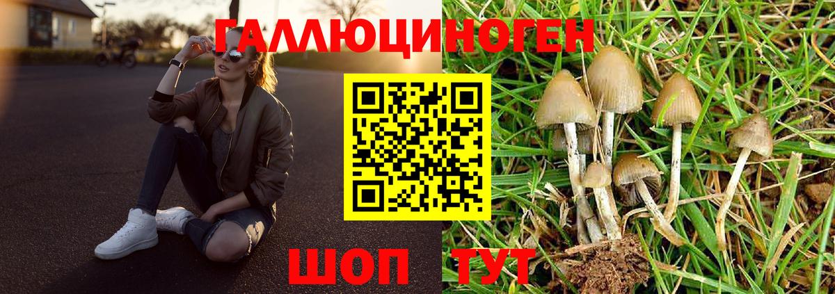 Тавда  Псилоцибиновые грибы Magic Shrooms  продажа наркотиков  Вход с VPN 